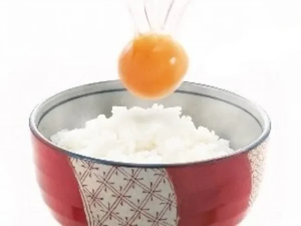 参考レシピ
